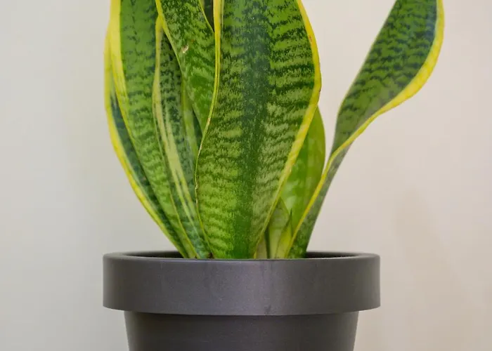 Beachside Retreat, Steps To * Κως Πόλη