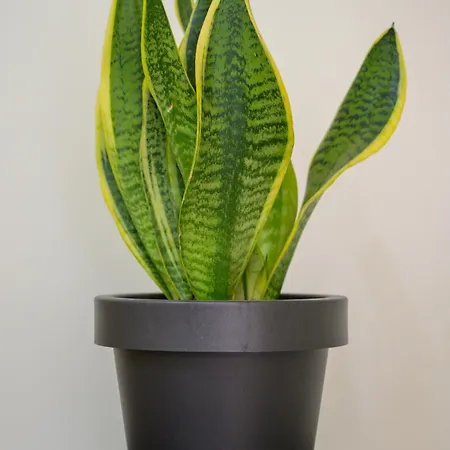 Beachside Retreat, Steps To * Kos Town